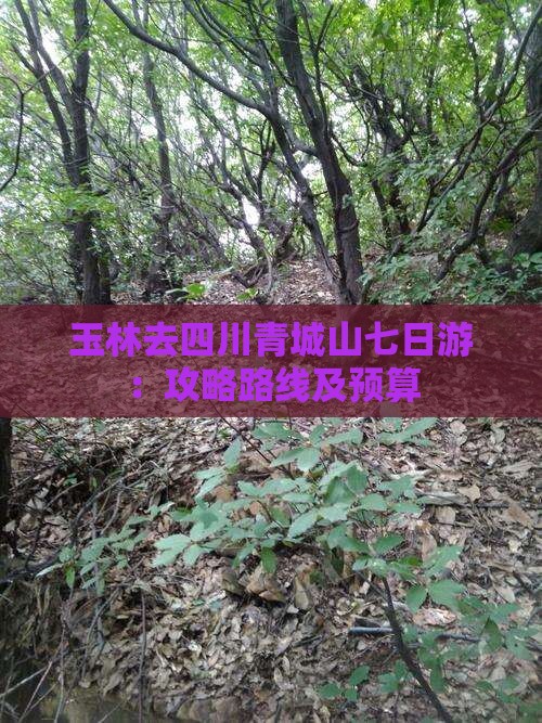玉林去四川青城山七日游：攻略路线及预算