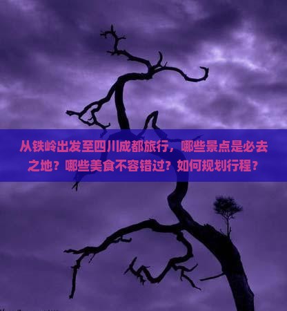 铁岭到四川成都必去地
