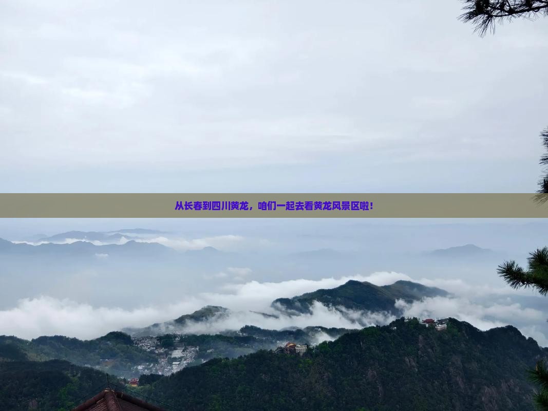 长春到四川黄龙大型旅游团 长春到四川黄龙大型旅游团