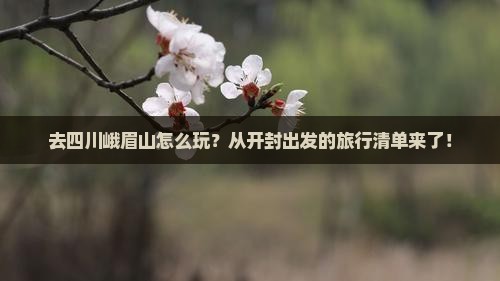 开封去四川峨眉山哪里玩