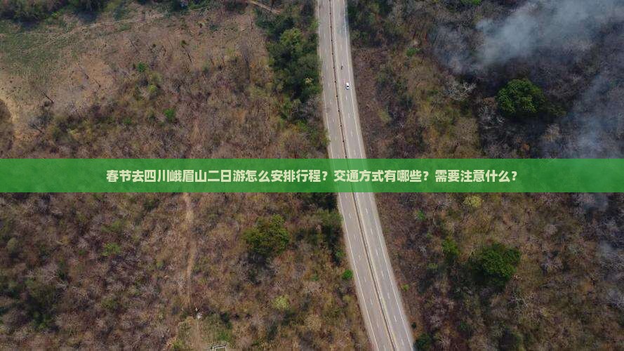 春节去四川峨眉山二日游