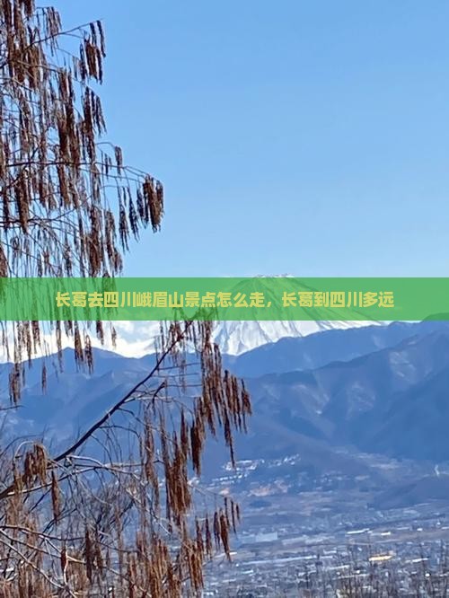 长葛去四川峨眉山景点