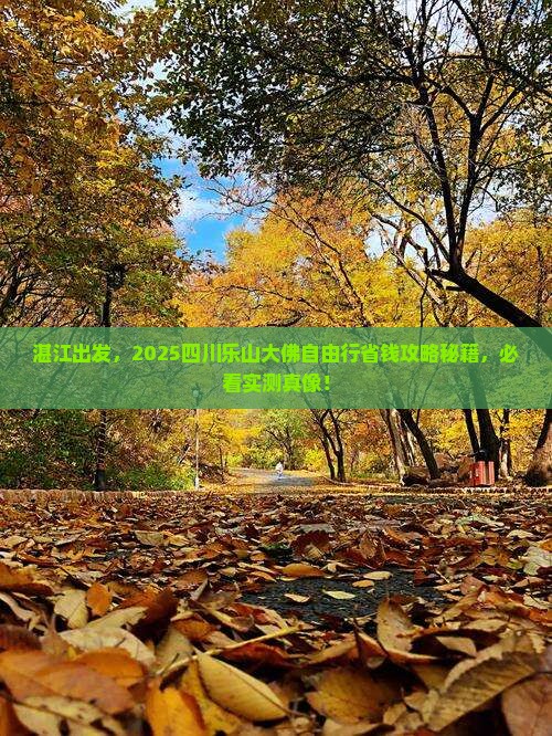 湛江去四川乐山大佛自由团