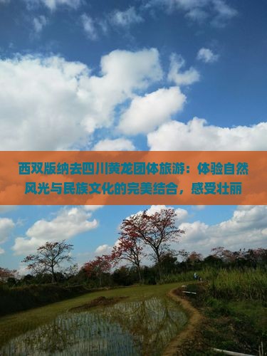西双版纳去四川黄龙团体旅游
