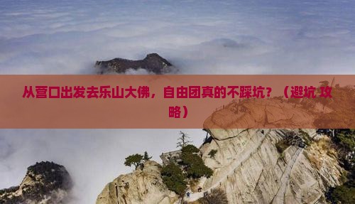 营口去四川乐山大佛自由团