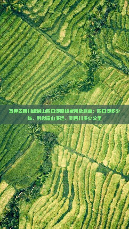 宜春去四川峨眉山四日游