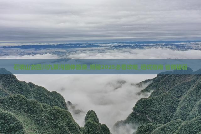 石嘴山去四川九寨沟团体旅游