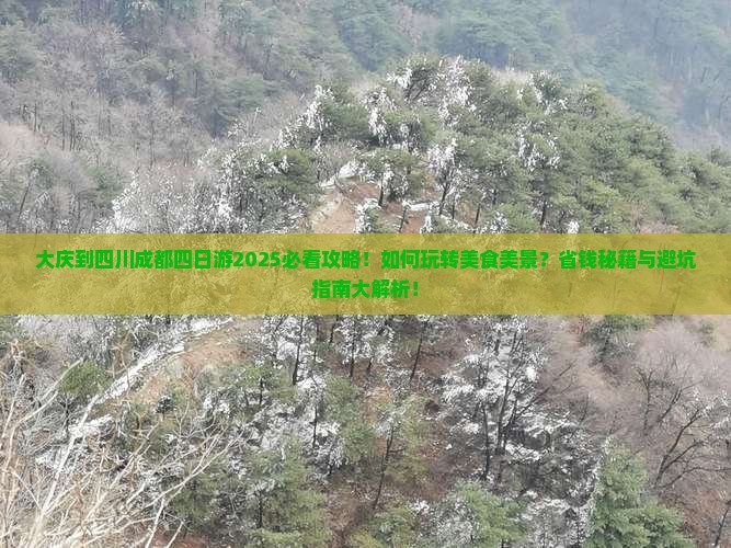 大庆到四川成都四日游
