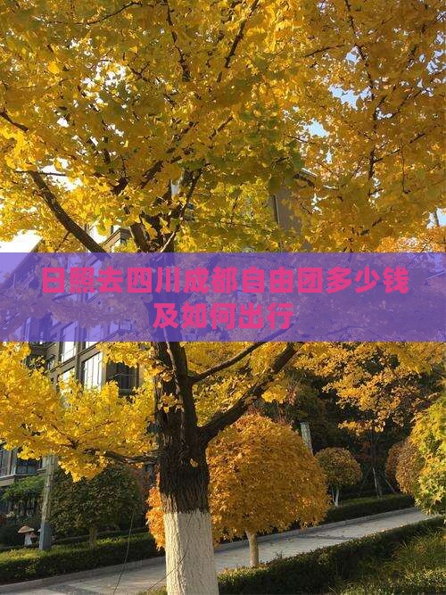 日照去四川成都自由团