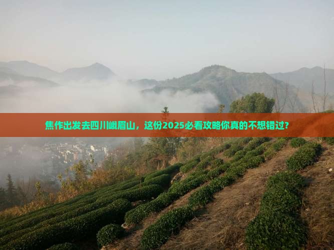 焦作去四川峨眉山旅游