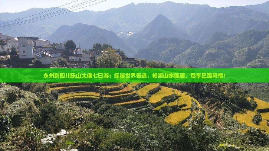 永州到四川乐山大佛七日游