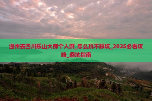 温州去四川乐山大佛个人游