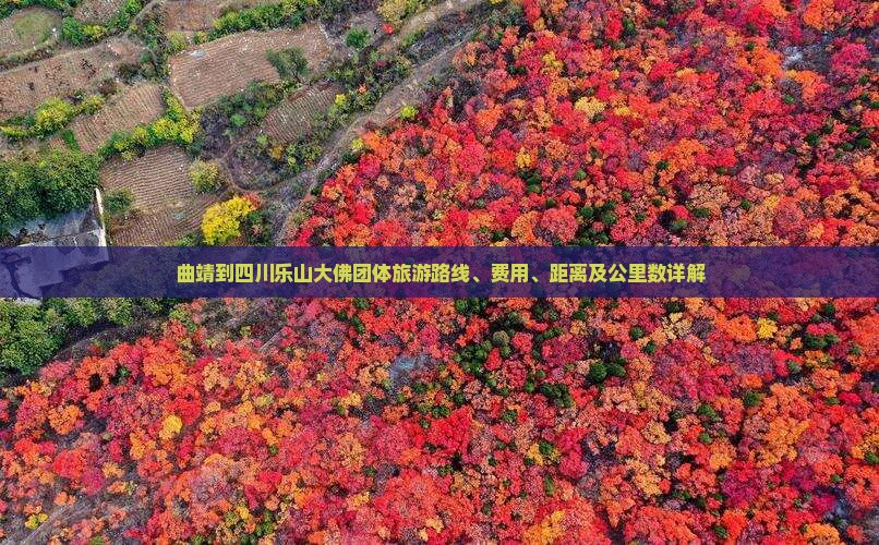 曲靖到四川乐山大佛团体旅游