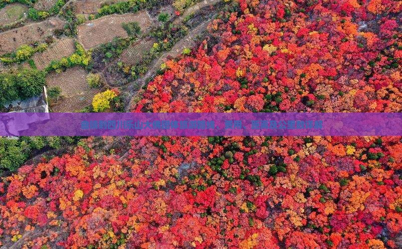 曲靖到四川乐山大佛团体旅游