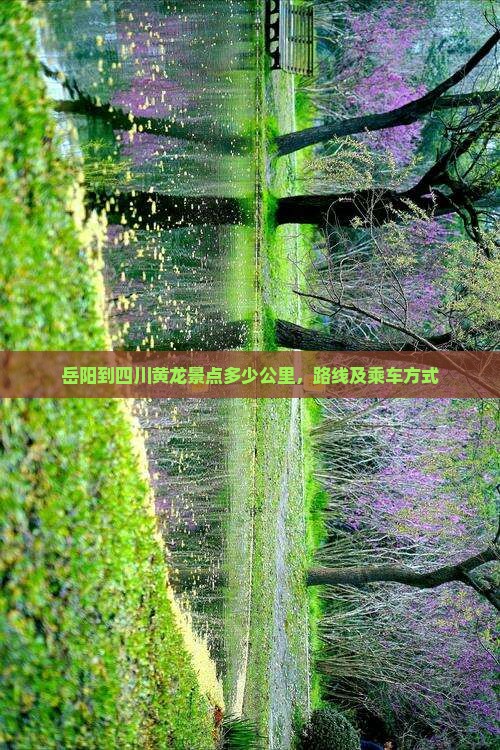 岳阳到四川黄龙景点