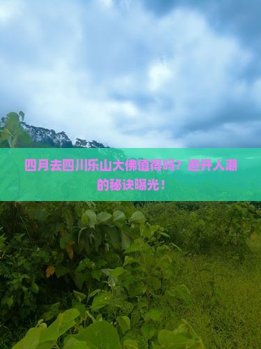 四月去四川乐山大佛旅行社