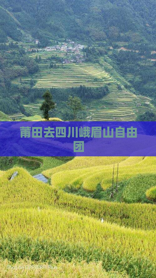 莆田去四川峨眉山自由团