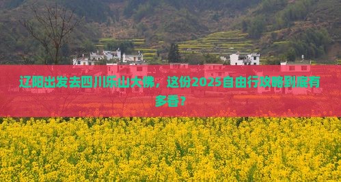 辽阳去四川乐山大佛自由行 辽阳去四川乐山大佛自由行