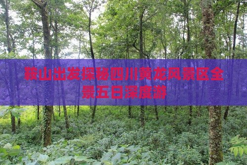 鞍山出发探秘四川黄龙风景区全景五日深度游