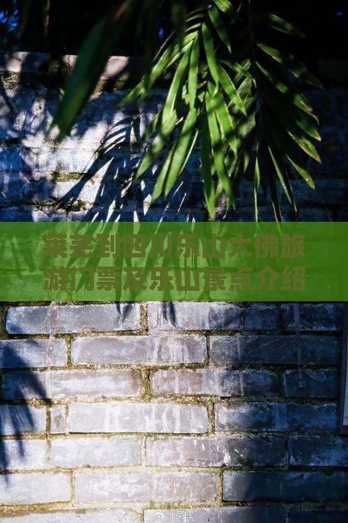 莱芜到四川乐山大佛门票