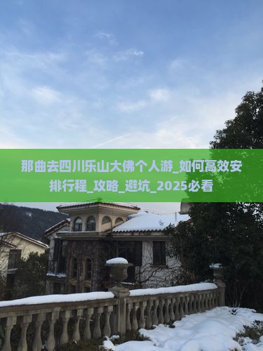 那曲去四川乐山大佛个人游