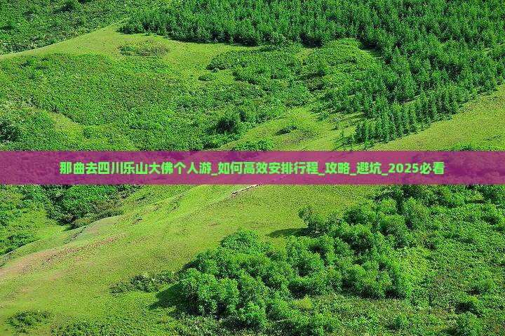 那曲去四川乐山大佛个人游