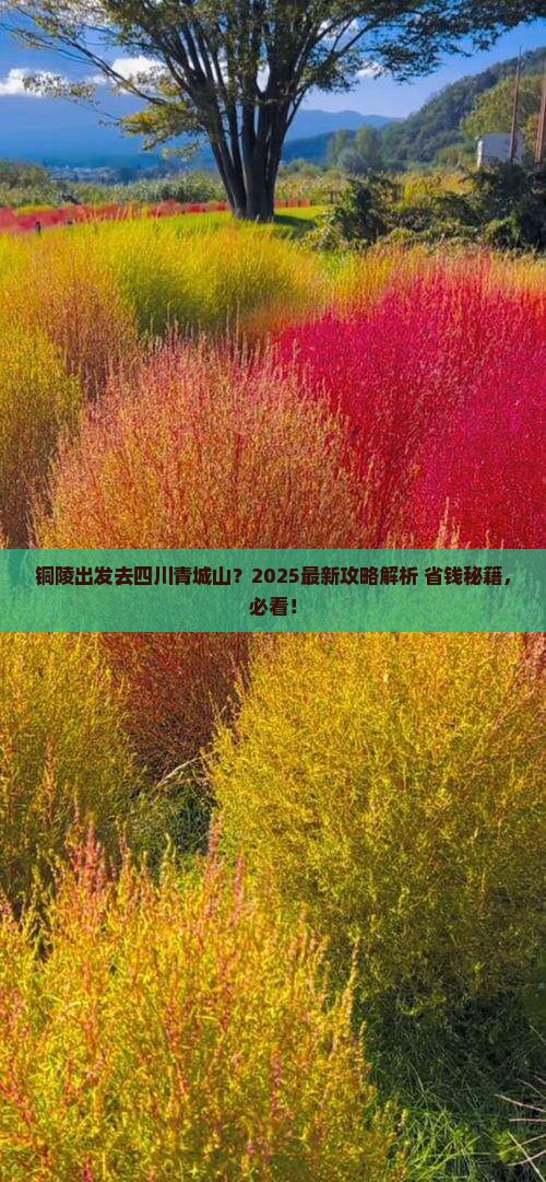 铜陵去四川青城山必去地