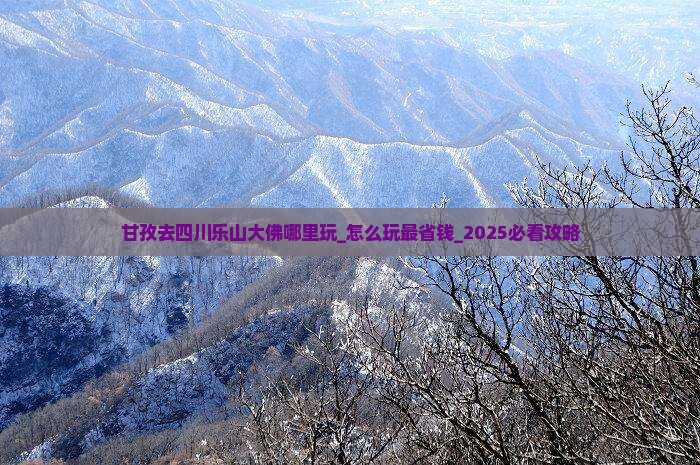 甘孜去四川乐山大佛哪里玩