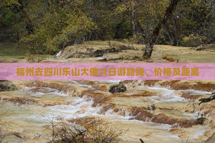 福州去四川乐山大佛六日游