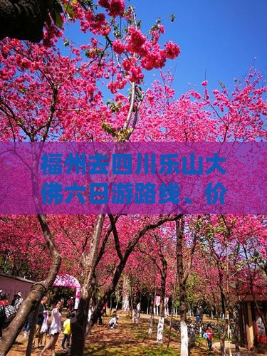 福州去四川乐山大佛六日游