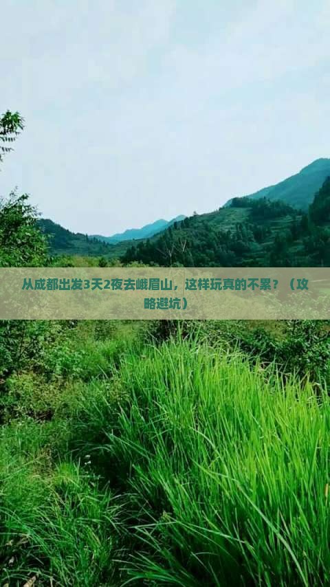 山南去四川峨眉山攻略 山南去四川峨眉山攻略