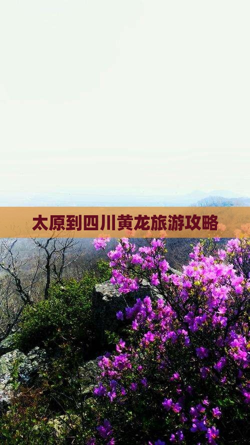 太原到四川黄龙门票