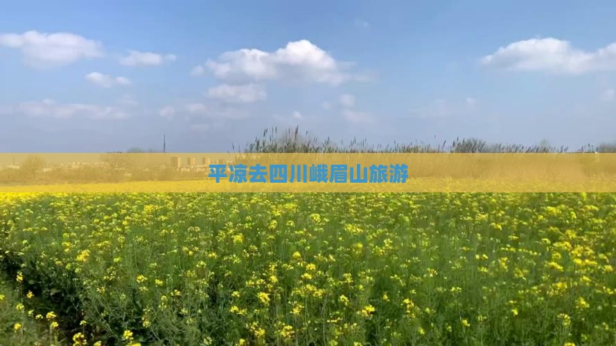 平凉去四川峨眉山旅游