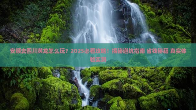 安顺去四川黄龙旅行社
