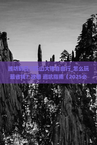 潍坊到四川乐山大佛自由行