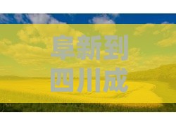 阜新到四川成都景点