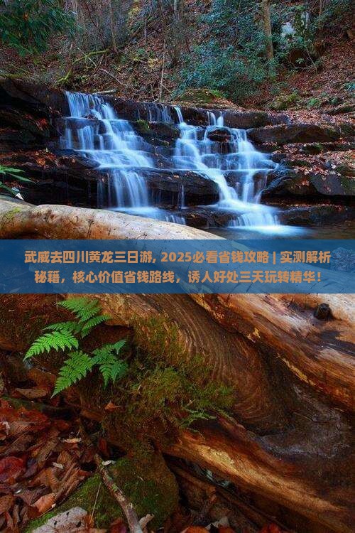 武威去四川黄龙三日游