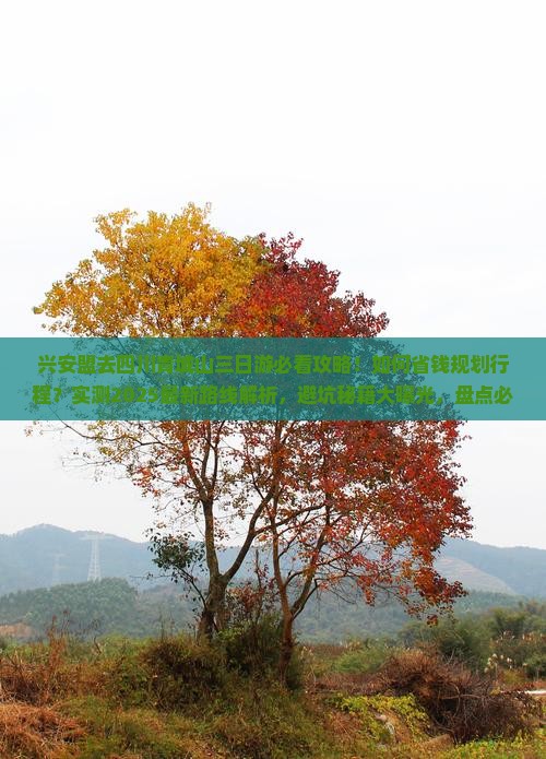 兴安盟去四川青城山三日游
