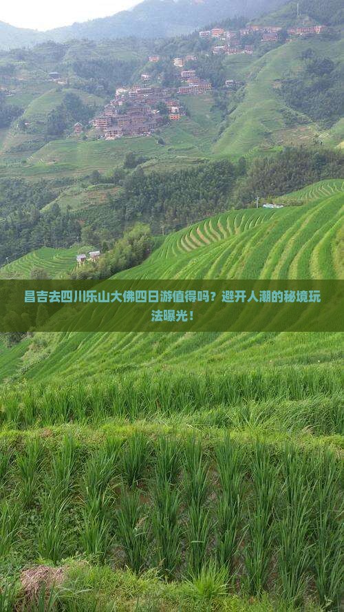 昌吉去四川乐山大佛四日游