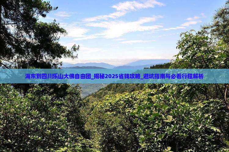 海东到四川乐山大佛自由团