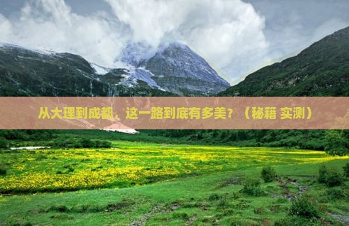 大理去四川成都旅游