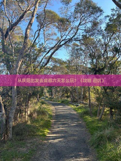 庆阳到四川成都六日游