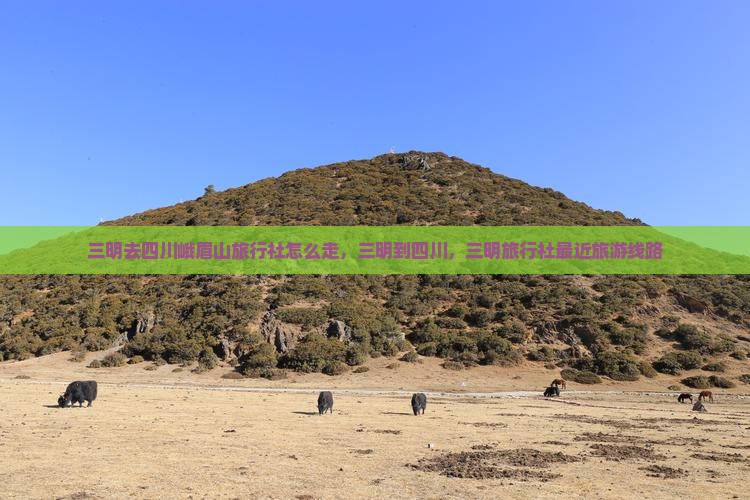 三明去四川峨眉山旅行社