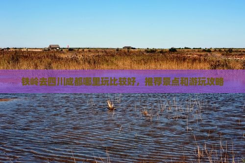 铁岭去四川成都哪里玩