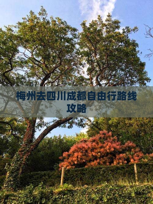 梅州去四川成都自由行