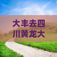 大丰去四川黄龙大型旅游团费用及路线