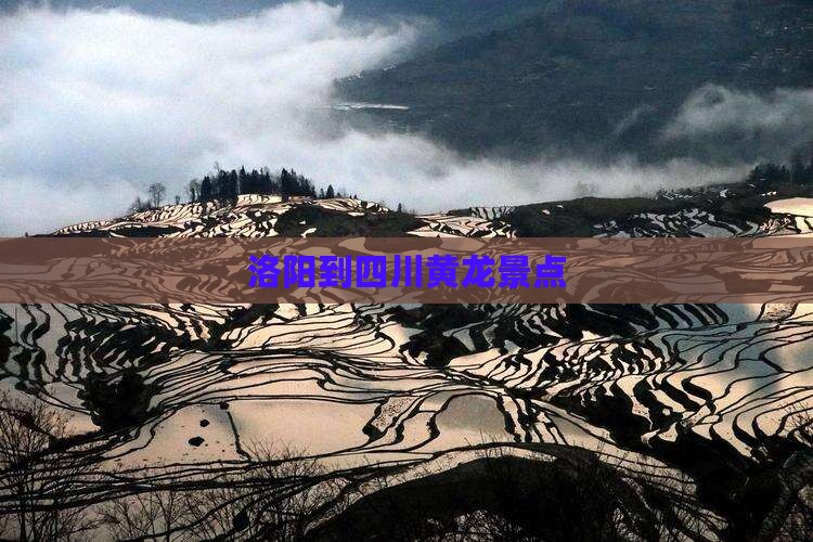 洛阳到四川黄龙景点