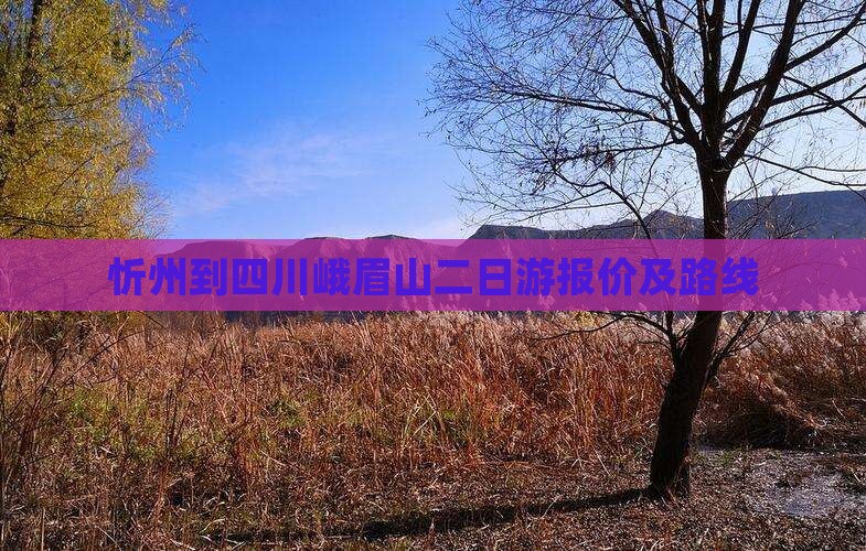 忻州到四川峨眉山二日游报价及路线