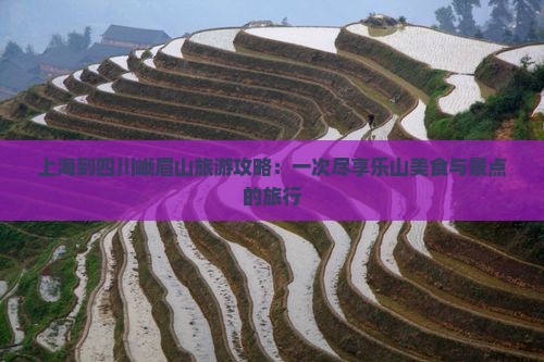 上海到四川峨眉山旅游攻略：一次尽享乐山美食与景点的旅行