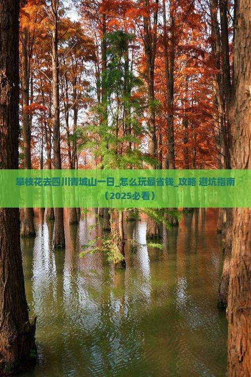 攀枝花去四川青城山一日